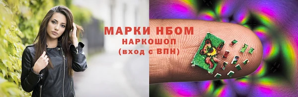 хмурый Алзамай